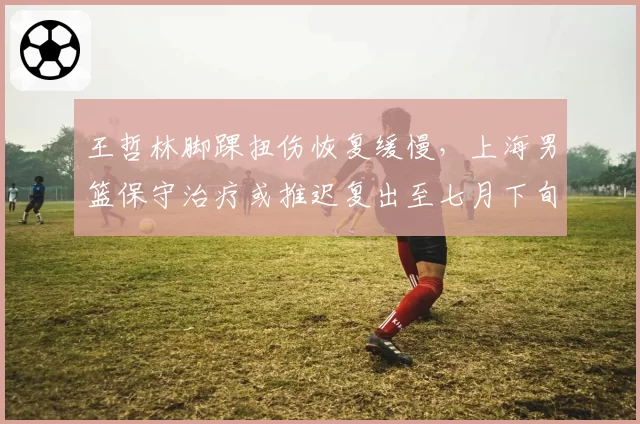 王哲林脚踝扭伤恢复缓慢，上海男篮保守治疗或推迟复出至七月下旬