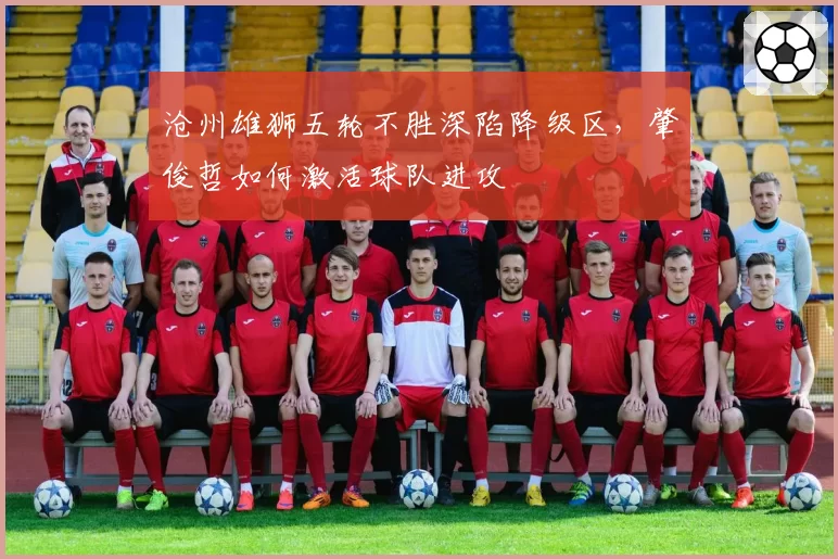 沧州雄狮五轮不胜深陷降级区，肇俊哲如何激活球队进攻