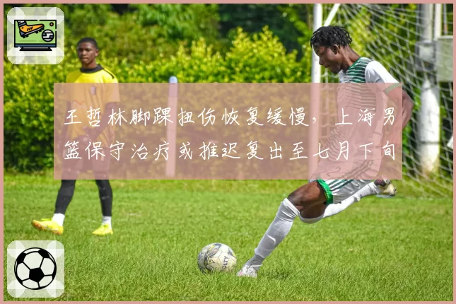 王哲林脚踝扭伤恢复缓慢，上海男篮保守治疗或推迟复出至七月下旬
